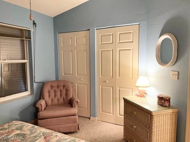 bedroom featuring a textured ceiling, light carpet, and two closets