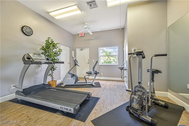 exercise room featuring hardwood / wood-style flooring and ceiling fan