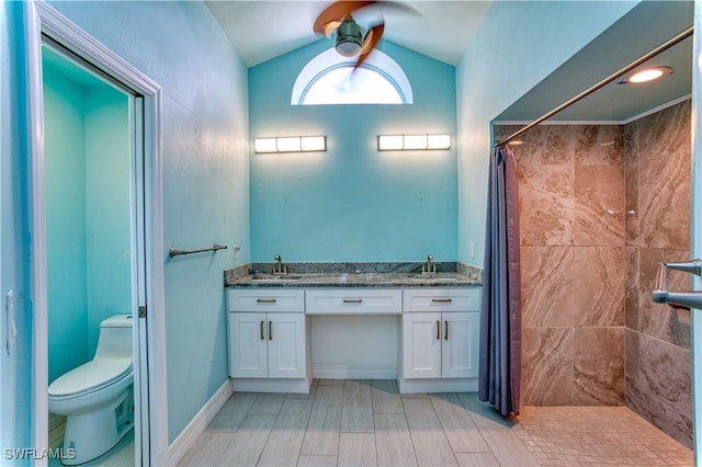 bathroom with a shower with curtain, vanity, vaulted ceiling, and toilet