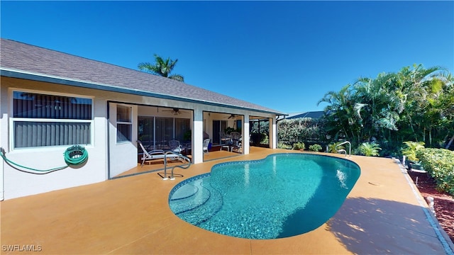 view of pool featuring a patio area and ceiling fan