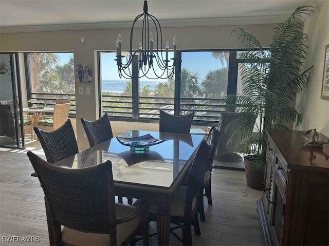 dining area with hardwood / wood-style floors, plenty of natural light, and ornamental molding