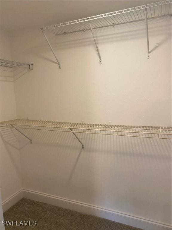 7050 Nantucket Cir Unit 4, North Fort Myers, FL 33917 - view of spacious closet