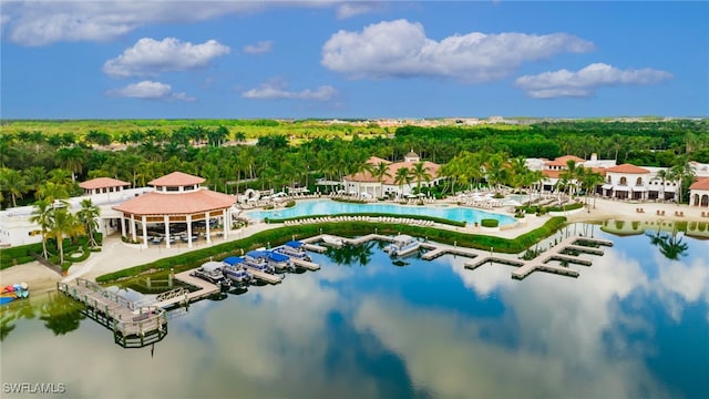 bird's eye view with a water view