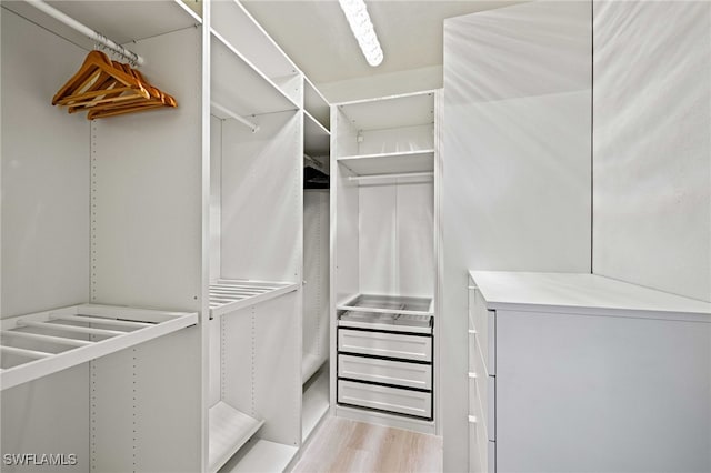 walk in closet with light hardwood / wood-style flooring