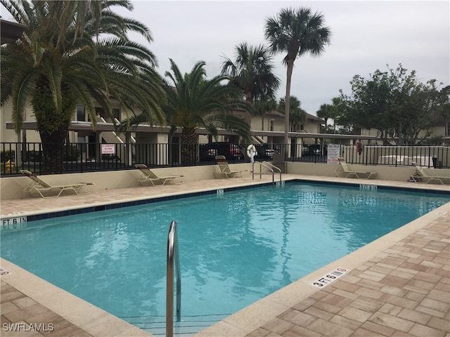 view of swimming pool with a patio