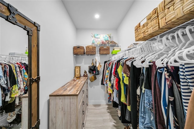 spacious closet with light hardwood / wood-style flooring