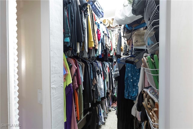 walk in closet featuring carpet