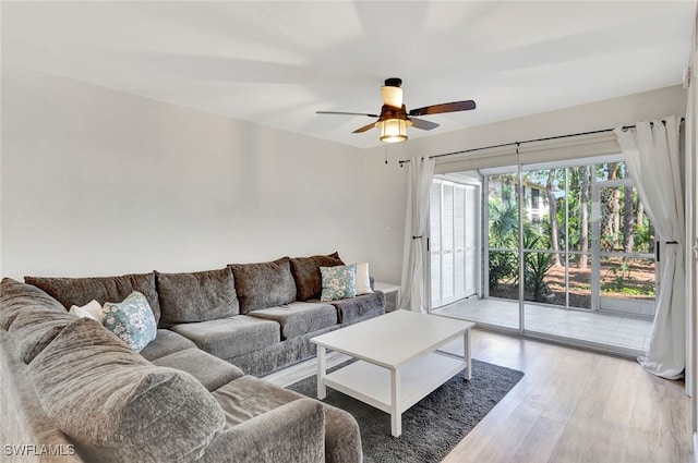 living room featuring ceiling fan and wood-type flooring