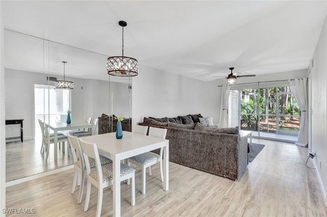 dining room with light hardwood / wood-style floors and ceiling fan