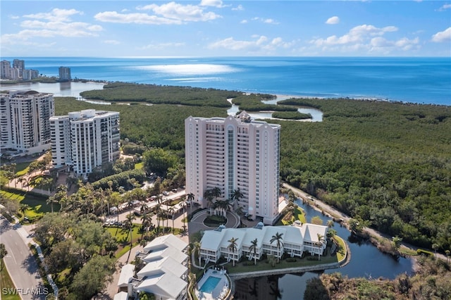 bird's eye view with a water view