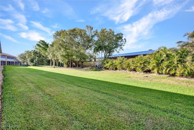 1101 Winding Pines Cir Unit 107, Cape Coral, FL 33909 - view of green lawn