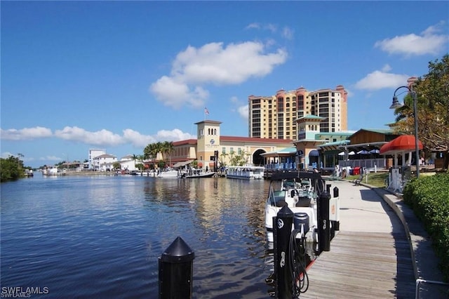 dock area with a water view