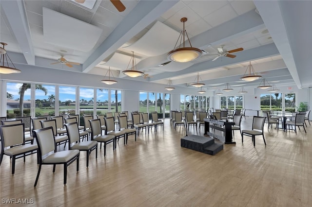 interior space featuring ceiling fan, a healthy amount of sunlight, and light hardwood / wood-style flooring