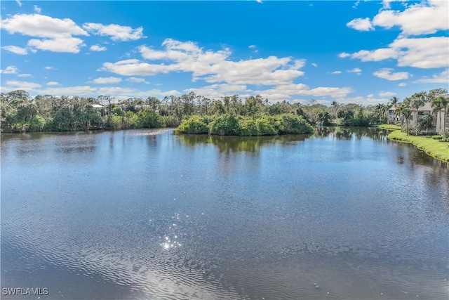 property view of water