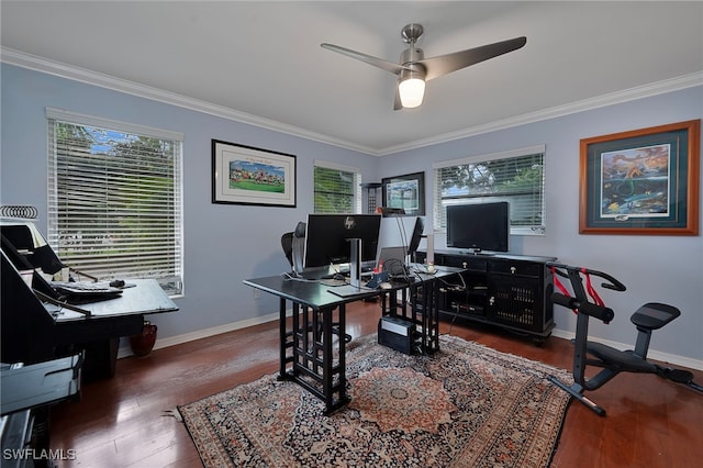 office with baseboards, dark wood-style flooring, and crown molding