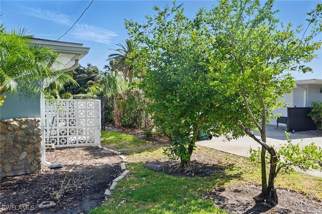 view of yard with a patio