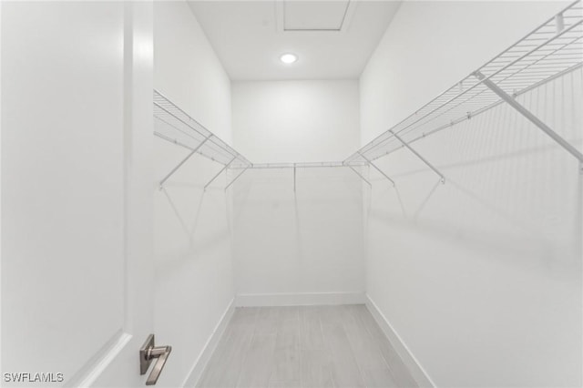 view of spacious closet