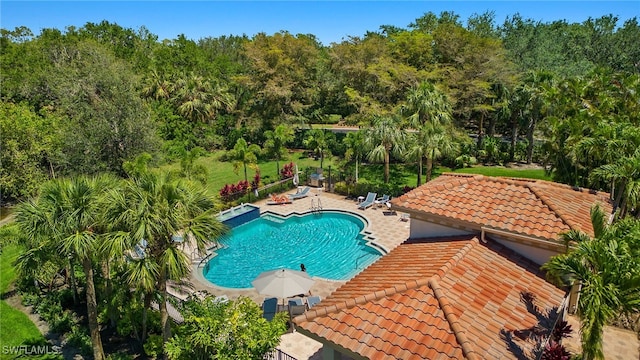 view of pool featuring a patio