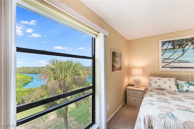 bedroom featuring carpet and a water view