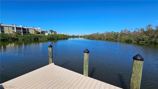 dock area with a water view