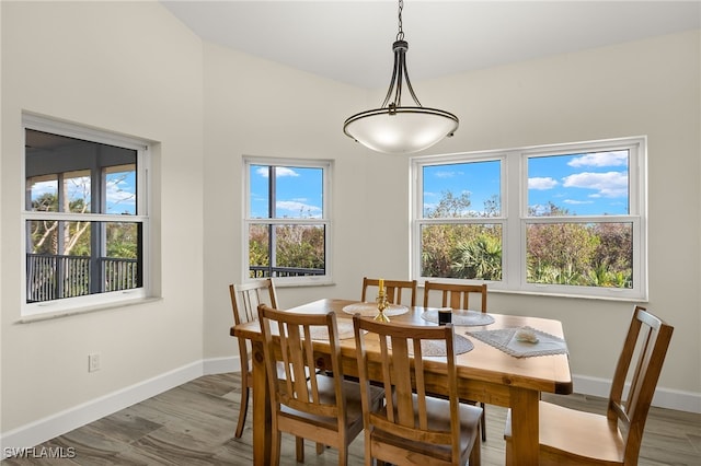 dining space featuring hardwood / wood-style flooring