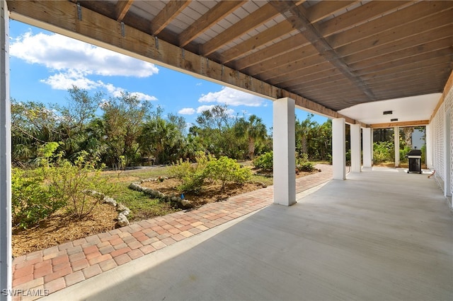 view of patio / terrace with area for grilling