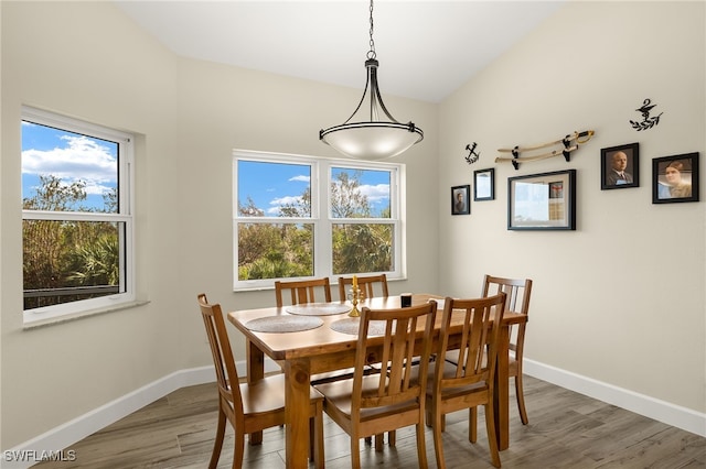 dining area with dark hardwood / wood-style floors