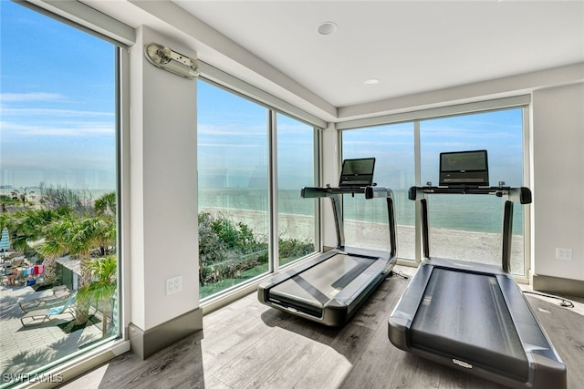 exercise room featuring plenty of natural light, a water view, and hardwood / wood-style floors