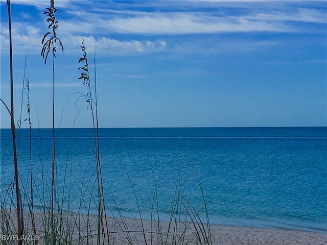 view of water feature featuring a beach view