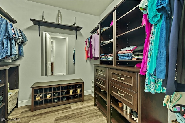 spacious closet with wood-type flooring