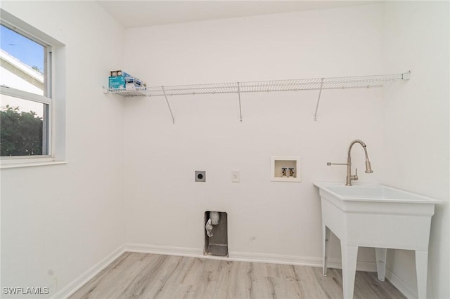 clothes washing area with electric dryer hookup, light hardwood / wood-style flooring, and washer hookup