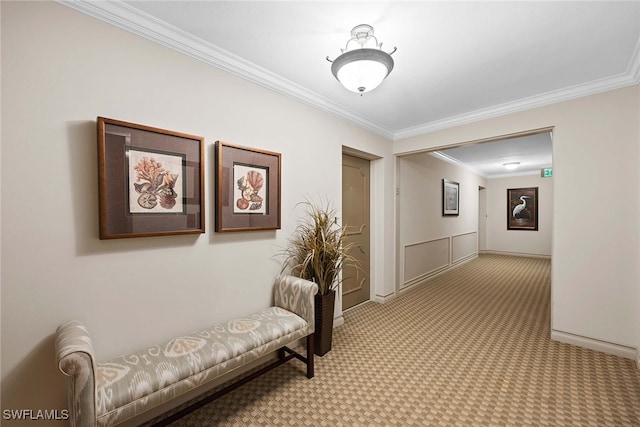 corridor featuring crown molding and carpet floors