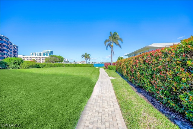 view of property's community featuring a yard