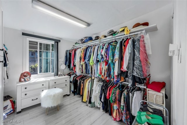 spacious closet featuring light wood-type flooring