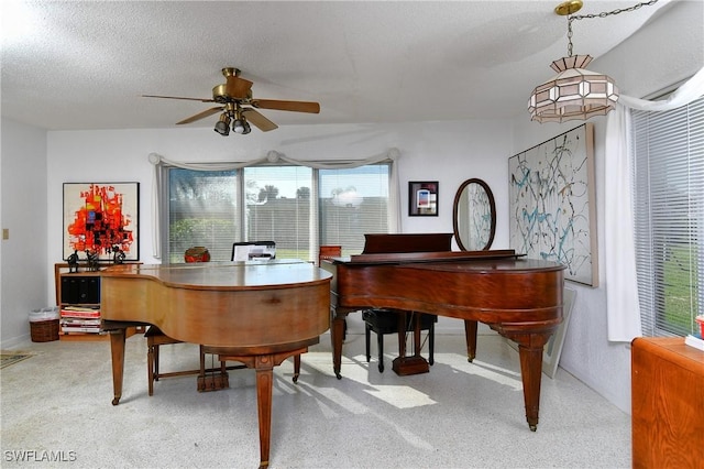 misc room featuring a wealth of natural light, ceiling fan, and a textured ceiling