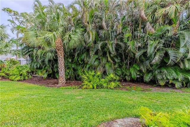 27062 Kindlewood Ln, Bonita Springs, FL 34134 - view of grassy yard