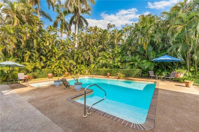 view of swimming pool with a patio