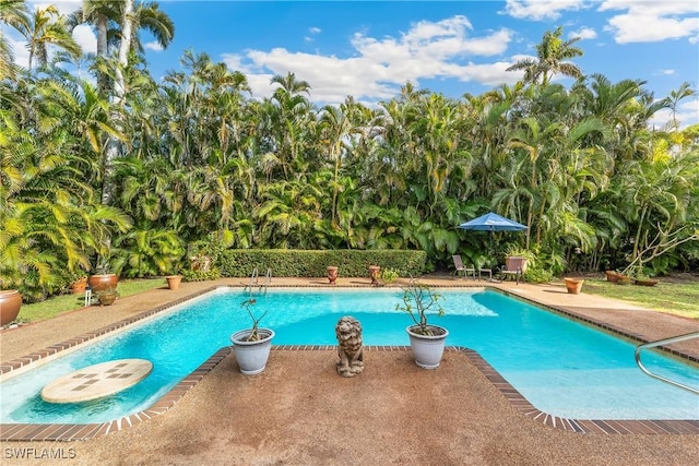 view of swimming pool featuring a patio area