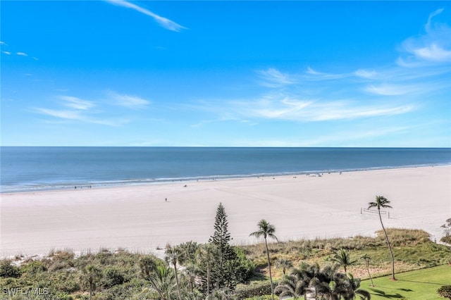 property view of water featuring a beach view