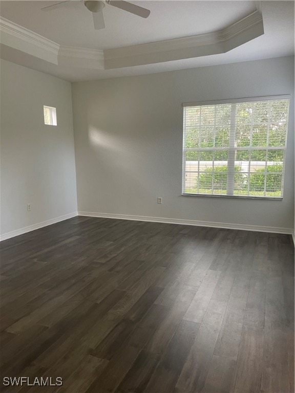 empty room featuring dark wood-type flooring, plenty of natural light, and a tray ceiling