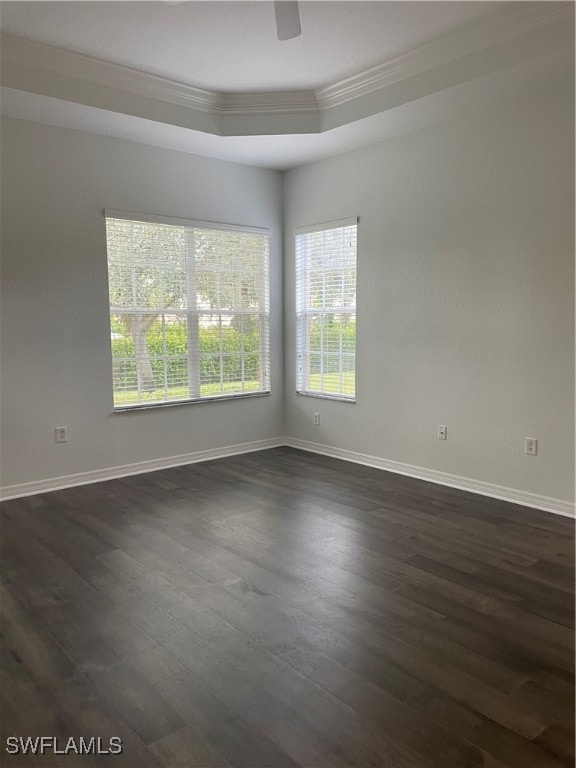 unfurnished room featuring dark hardwood / wood-style floors, ornamental molding, and a raised ceiling