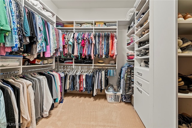 walk in closet with light colored carpet