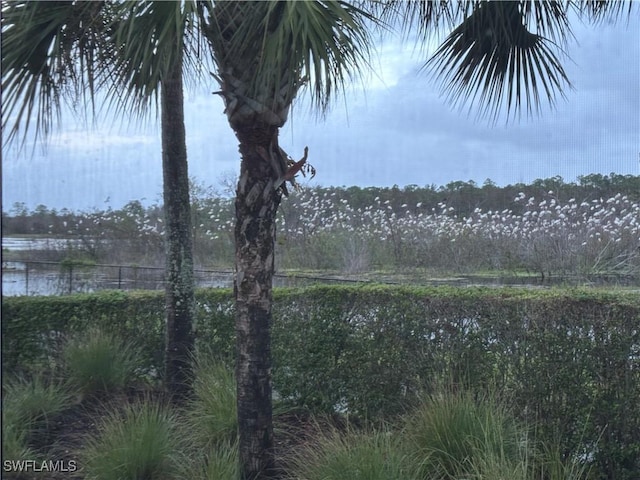 view of water feature