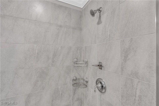 interior details with tiled shower