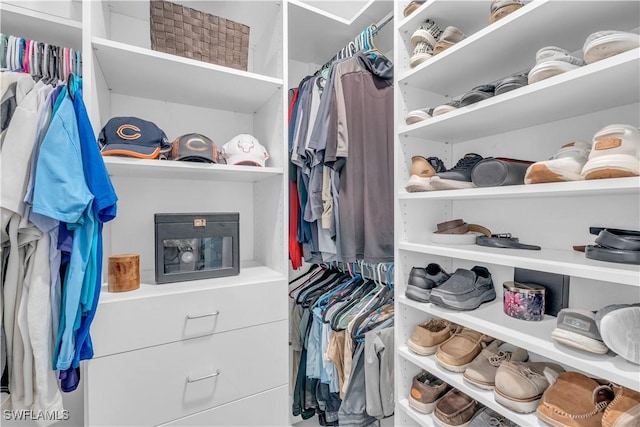 view of spacious closet