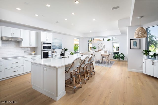 kitchen featuring a kitchen island with sink, plenty of natural light, light hardwood / wood-style flooring, and sink