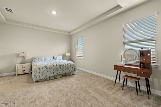 carpeted bedroom with a tray ceiling