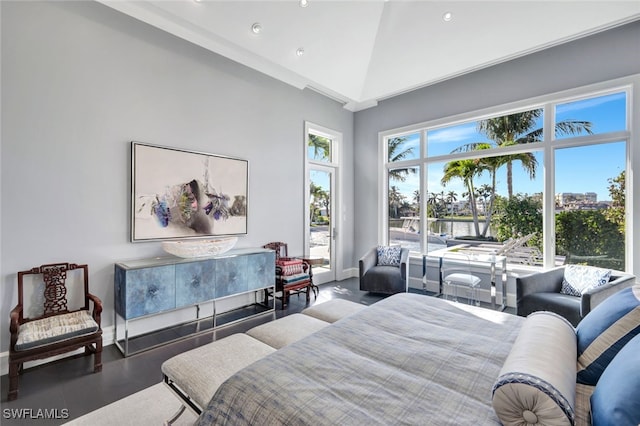 bedroom featuring high vaulted ceiling