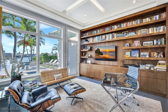 living area with plenty of natural light and built in features