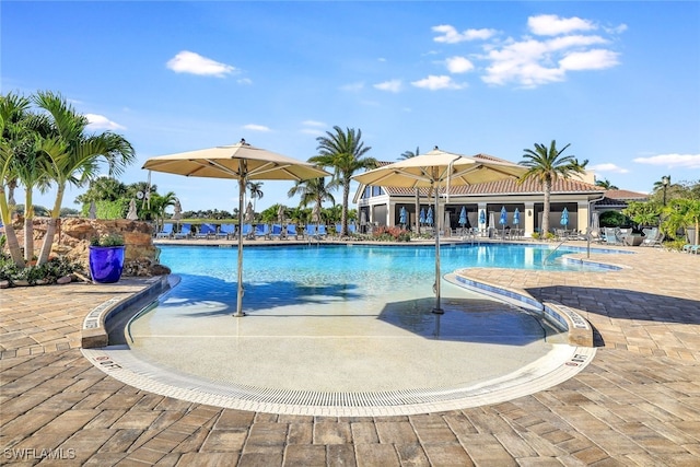 view of swimming pool featuring a patio